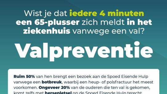 Klik voor een vergroting